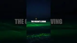 Glow River Secrets