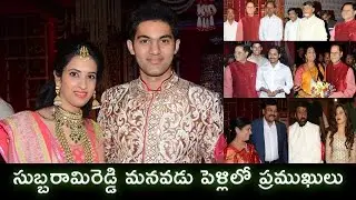 Politicians And Celebrities At T. Subbarami Reddy Grandson Rajiv Wedding | Wedding Photos
