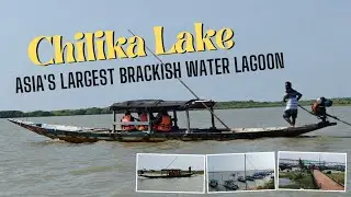 0087 Chilika Lake in Odisha