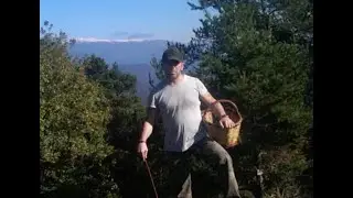 BOLETS EN LA CERDANYA
