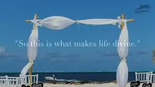 Wedding ROM party planning | Yacht charter Concierge with Chuhai 出海