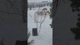 да этож  б.... птицевод [ц]