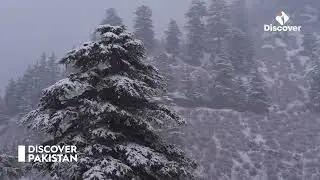 Winter of Chitral, Pakistan | This video will amaze you 4K HD