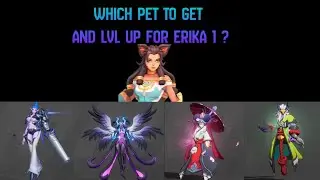 Which Pet should i get/lvl up for Erika1 ? Torchlight Infinite SS10