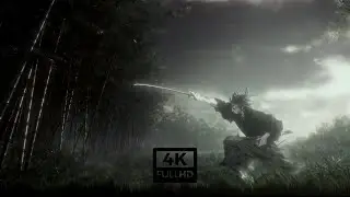 1 Hour loop - 4k HD - Samurai Vagabond Live Wallpaper & Screensaver #anime