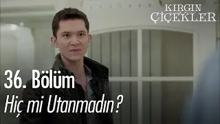 Güney, babasından hesap soruyor! - Kırgın Çiçekler 36. Bölüm