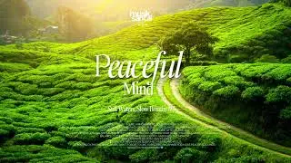 Peaceful Mind #3