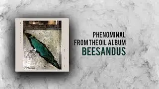 BEESANDUS  -   Phenominal  [4US-MUSIC]