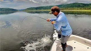 Every Fish was Fired up
