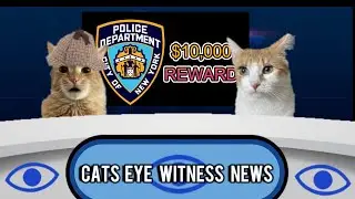 CATS EYE WITNESS NEWS - THE RAINMAKER