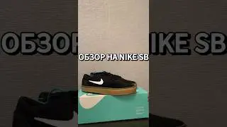 ОБЗОР НА КРОССОВКИ NIKE SB CHRON 2 #poizon #nike #доставка #кроссовки #sneakers #рек #обзор #мода
