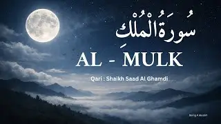 Surah Al-Mulk Full Recitation by Saad Al-Ghamdi | Peaceful Night Meditation/Sleep & Protection