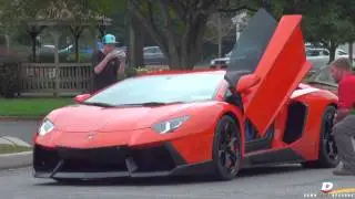Exotic Cars Arriving to Driven By Purpose 2014 // Part 6