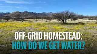 Building an OFF-GRID Homestead // WATER OPTIONS