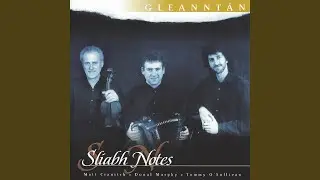 Dan Murphy's Slide / Danny Ab's Slide / Nell O'Sullivan's Slide / The Gullane Polka (Slides &...