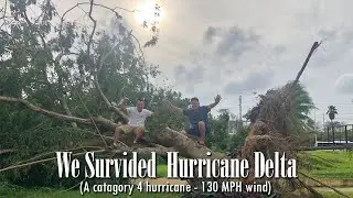 We Survived Hurricane Delta