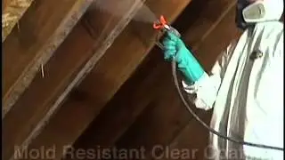 Mold Remediation Cost Buffalo & Western NY. FREE Inspection
