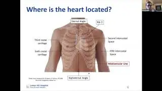 Medical School Anatomy: Cardiovascular Structure with Marianne Ruelle and Sabrina Begley