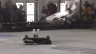 RoboGames 2023 BMF vs CatKong