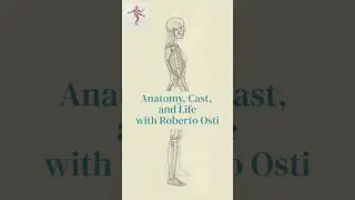 Figure Drawing Foundations: Anatomy, Cast, and Life