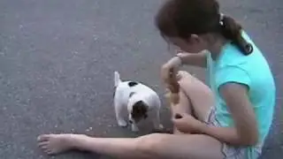 The solution to kid and puppy chaos is training that even the kids can do
