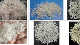 Twin Screw Extrusion 75 Model Artificial Fortified Rice Kernel Making Machine Frk Machine