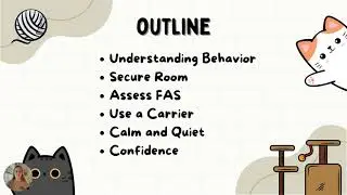 Intro to Socializing Fearful and Aggressive Cats
