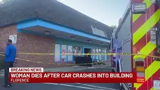 Woman dies after car crashes into building