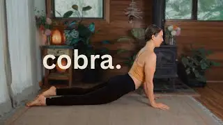 Yoga for longevity, not looks: Cobra
