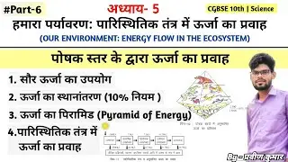 पोषक स्तर के द्वारा ऊर्जा का प्रवाह  | 10% नियम (Ten Percent Law) | ऊर्जा पिरामिड | #cgboard