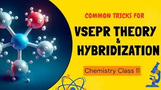 Common Tricks for VSEPR Theory and hybridization || Class 11