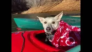 Little kayaking Philpott lake New Years Day 2026