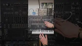 Korg ARP 2600 M sequence + spring reverb 11.26.2025