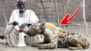 Top 10 Scariest Pets People Actually Own