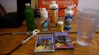 Target Feeding Coral | Beginner Guide To Saltwater Aquariums