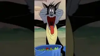 Butch the Cat goes insane!