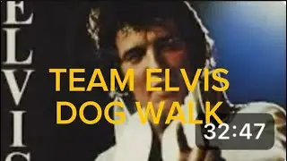 DEFENDING ELVIS PRESLEY - FANS SEARCH FOR THE TRUTH DOG WALK