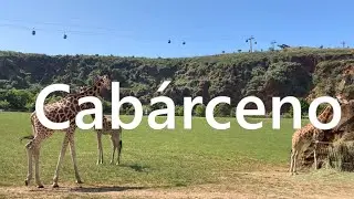 🐘 🐻🦘🦒 Visita a CABÁRCENO - Parque de la Naturaleza y Safari de Animales