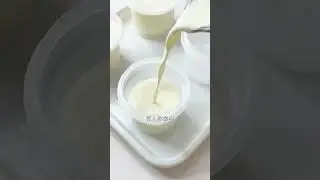 原味奶冻 | Dessert Making | Dessert DIY | 美味高顏值甜品製作食譜