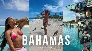 Iguanas, Pigs & Sharks !? &ndash; Bahamas Travel Vlog | Pt. 2