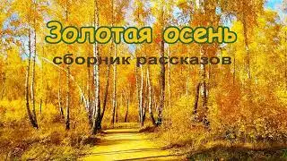 A collection of short stories, 