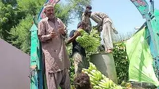 بنانا بزنس Banana Business Value Change Chain Maker Connected Worker