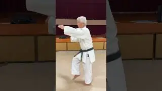 Seichin Uechi ryu kata excerpt / Sensei Kensho Kina 9 dan Okinawa Uechi ryu karate / Ryukyu Kobudo