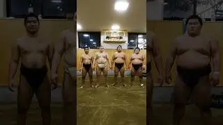 Sumo Wrestling training in Tokyo Japan