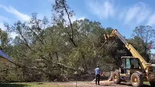 2021 10 26 Sun Oak Tree Coming Down CLIP