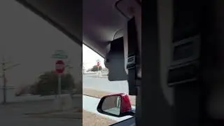 Sun Visor Extender| Tesla Model Y #tesla #sunvisor