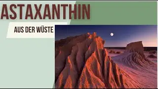 Astaxanthin aus der W&uuml;ste