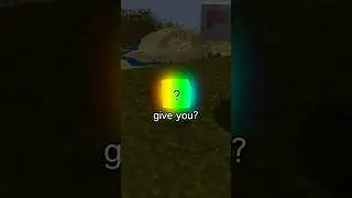 What Wool Do Rainbow Sheep's Give?