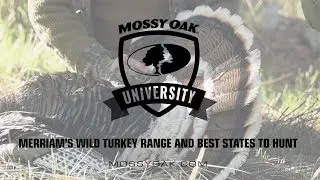 Merriam&rsquo;s Wild Turkey Range and Best States To Hunt