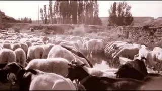Cogeces del Monte